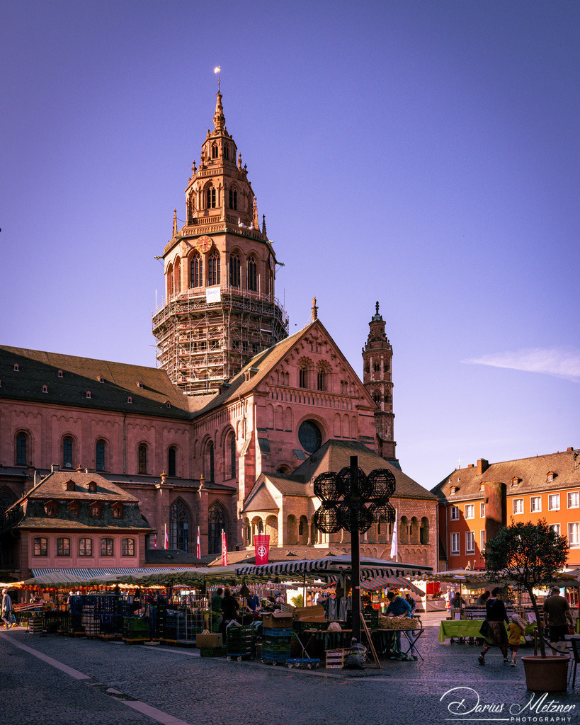 _DSC8733 | Fotografien, Fotos und Bilder aus Mainz, Frankfurt, Wiesbaden und anderen Orten auf der Welt - Fotografiert von Darius Metzner