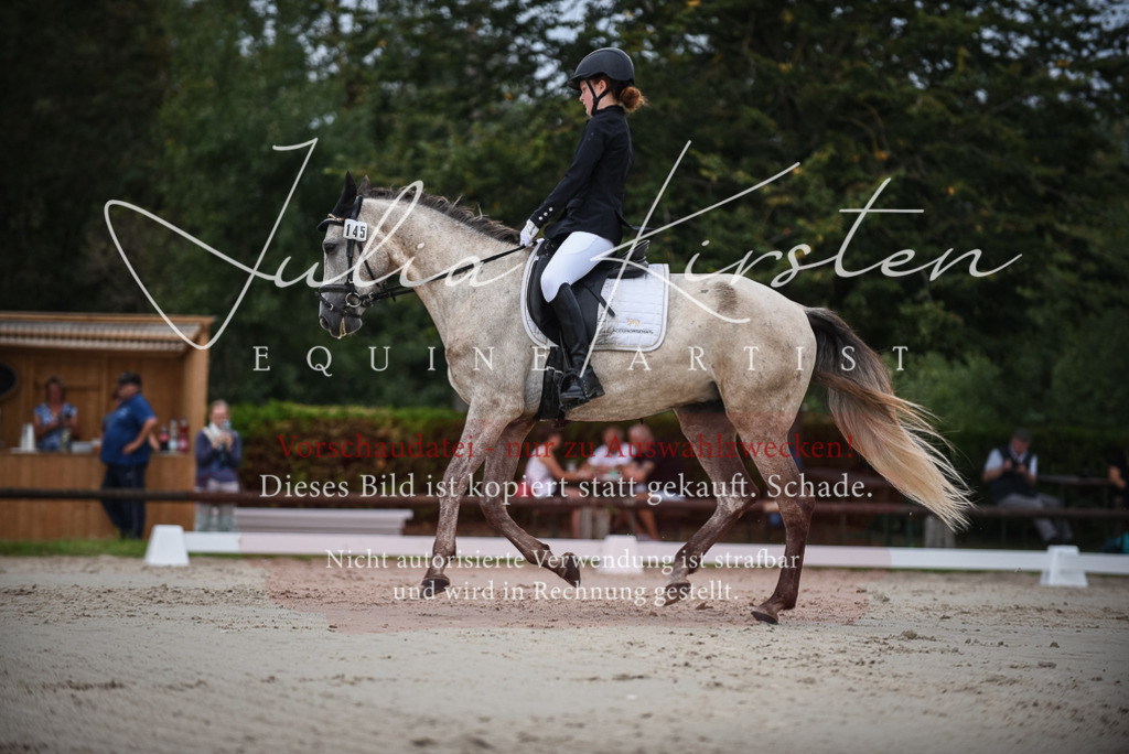 DSC_8219 | Pferde- und Turnierfotografie in Westsachsen. Pferdeportraits, Auftragszeichnungen und intuitive Kunst.