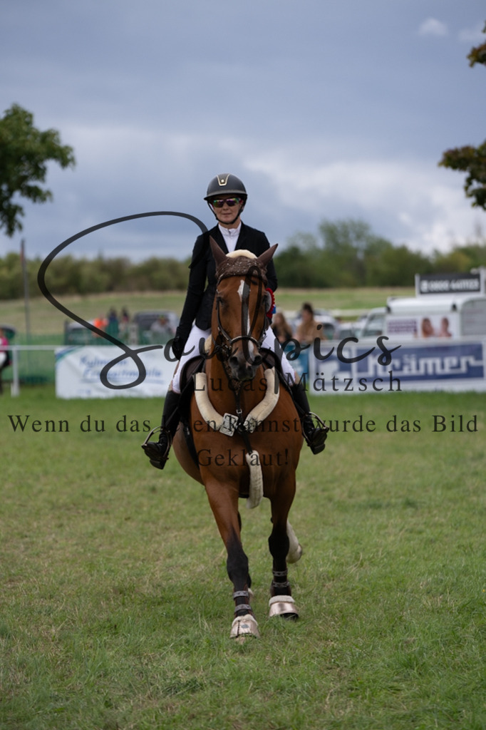 A7V06061 | Pferdefotograf