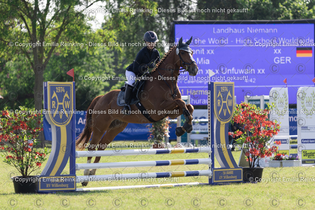 CL5A0316 | Emilia Reinking Fotografie - Realisiert mit Pictrs.com