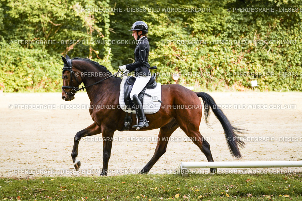 DSC09287 | Pferdegrafie