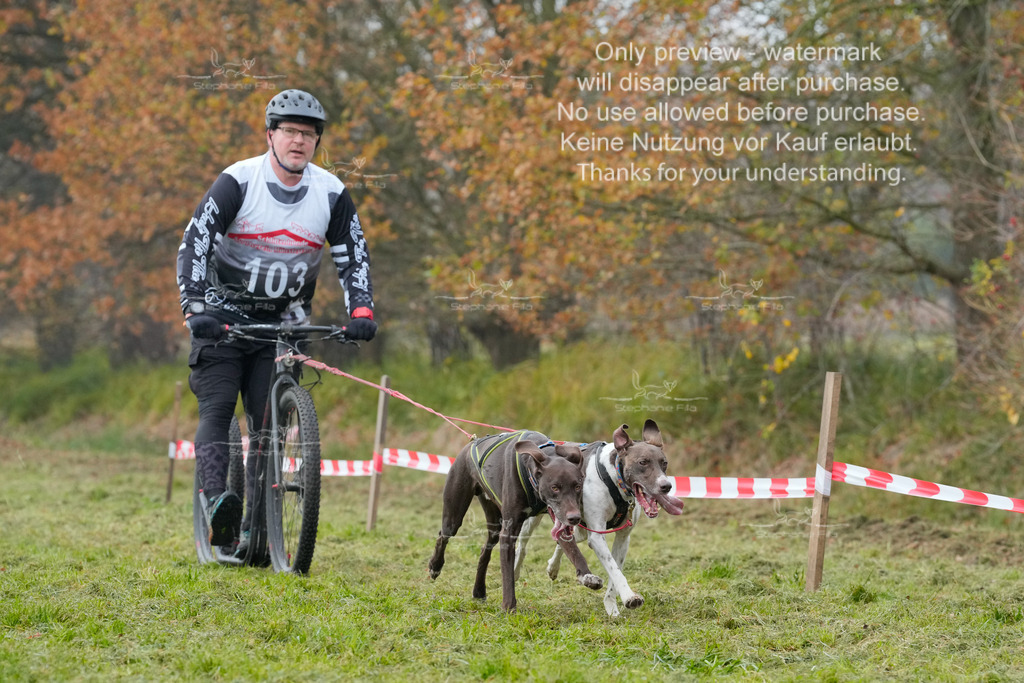 Visbeck_Sa_DS2DR2-49 | stephaniefillaphotographie - Realisiert mit Pictrs.com