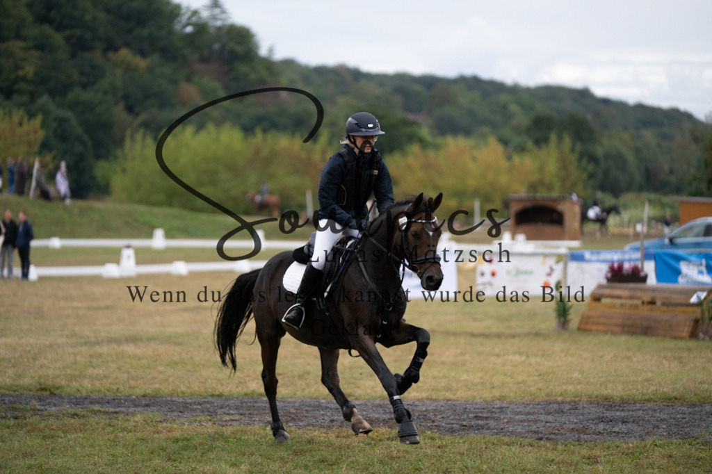 A7V00203 | Pferdefotograf