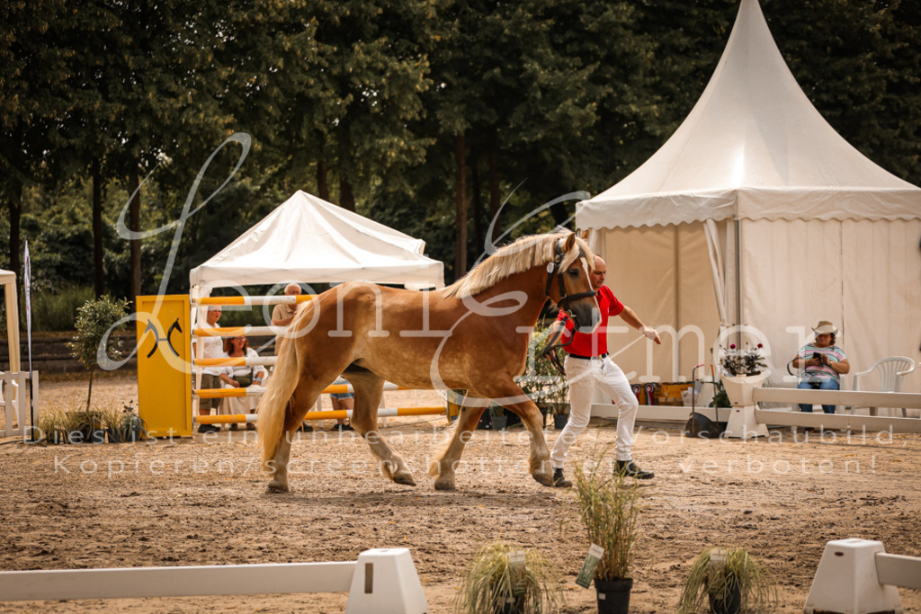 3.Sa00063 | Leoni Ertmer Photography - Realisiert mit Pictrs.com