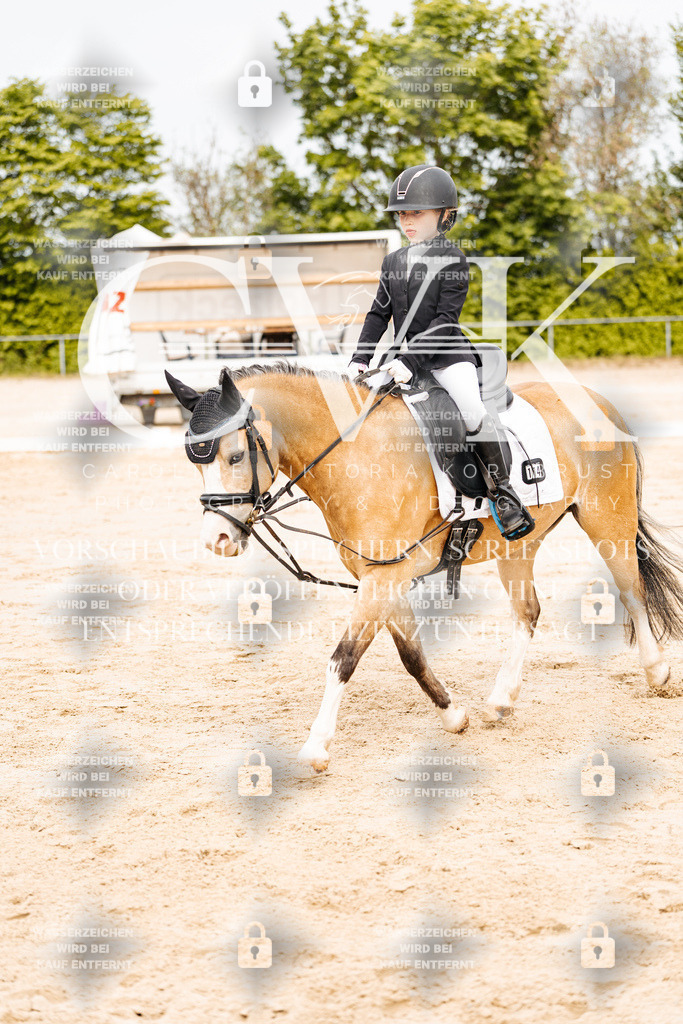 CK904500 | Turnierfotografie Pferdefotografie Trier Rheinland-Pfalz Pferdesport Reitsport Tierfotografie Sportfotografie Pferdevideo Pferdevideografie Equestrianvideography equestrianphotography  - Realisiert mit Pictrs.com