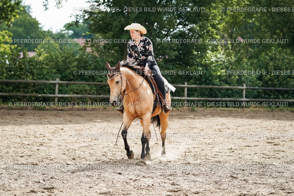 DSC04190 | Pferdegrafie