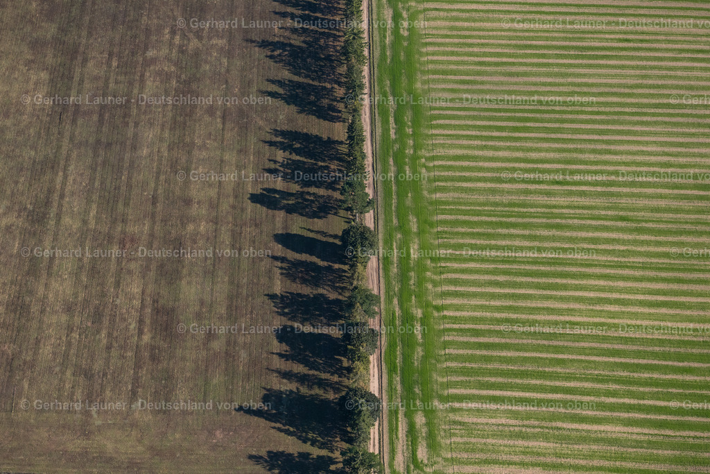 4062374 | LUHME 08.09.2021 Baumreihe an einem Feldrand an der Straße Sonnenweg in Luhme im Bundesland Brandenburg, Deutschland. // Row of trees in a field edge on street Sonnenweg in Luhme in the state Brandenburg, Germany. Foto: Gerhard Launer