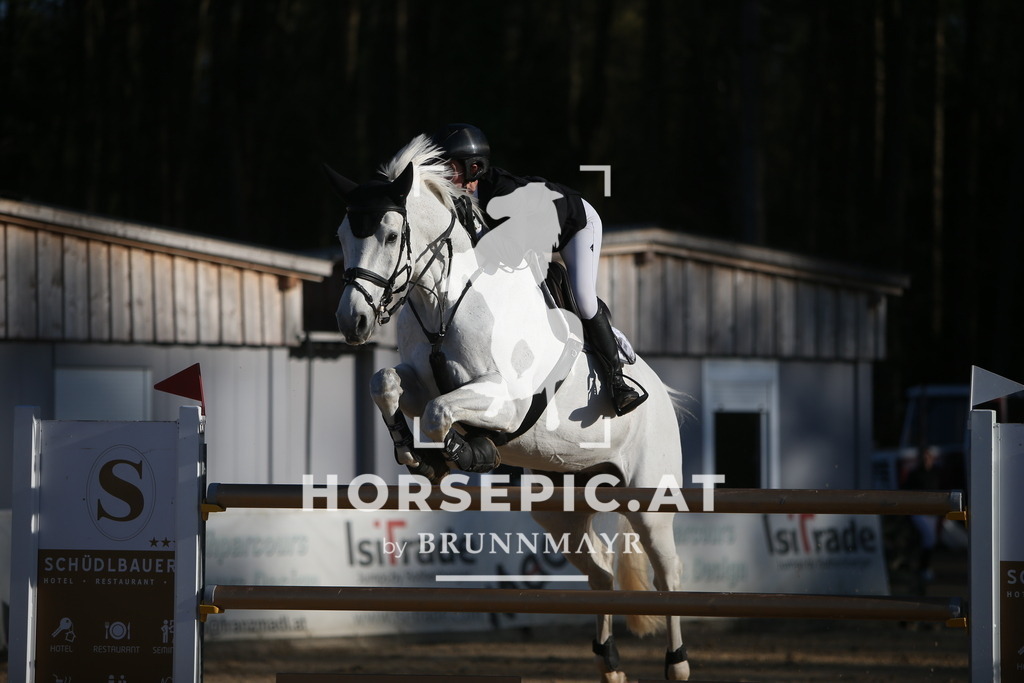 PP016002 | Willkommen bei Brunnmayr - Design & Fotografie – Ihrem Spezialisten für Reitturniere und Pferdeveranstaltungen in Oberösterreich, Salzburg und Bayern! Seit über 17 Jahren sind wir leidenschaftlich dabei.