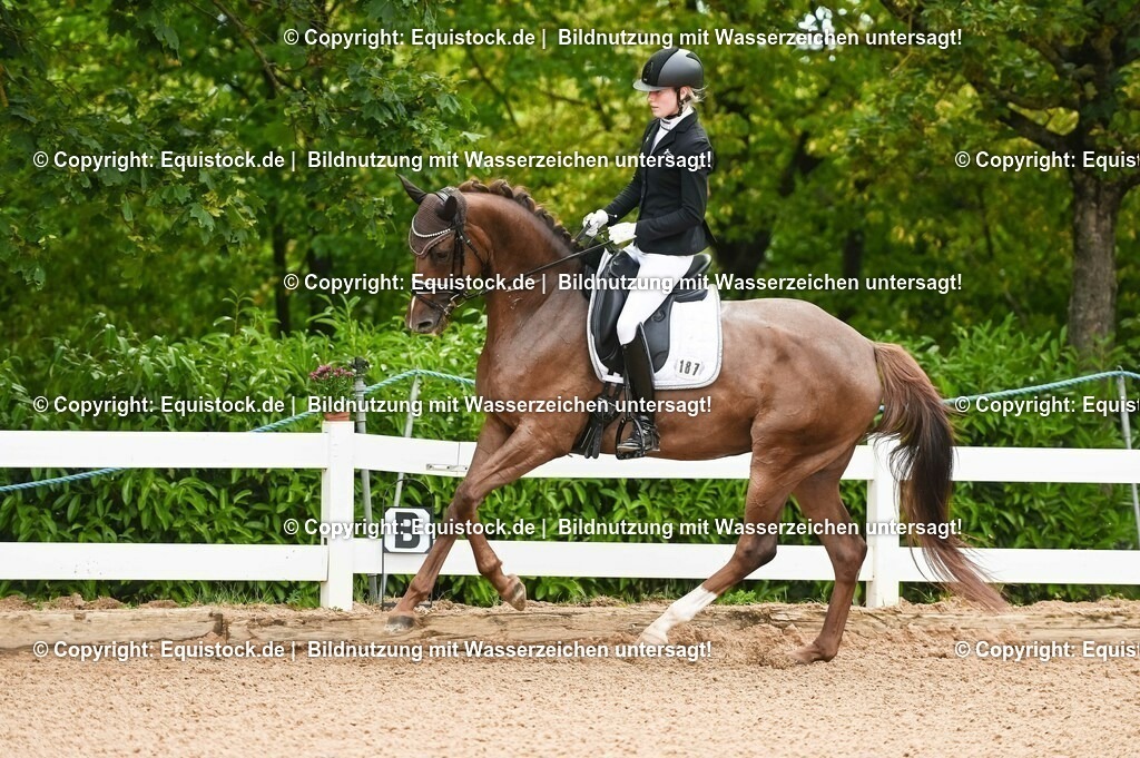 20230715_07_Dressurpferdeprfg. Kl.L_0064 | equistock