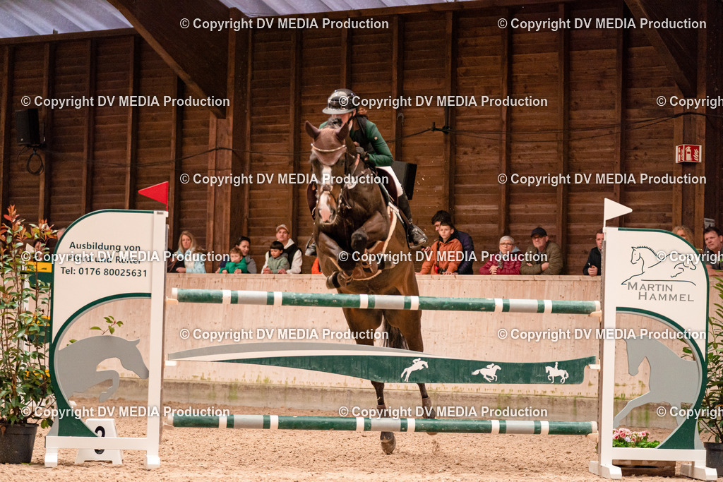 Springen Tag 3-393 | dv-media-shop - Realisiert mit Pictrs.com