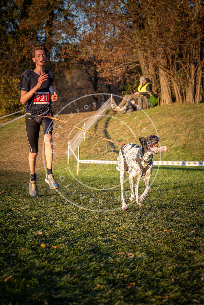 CaniXpix_0L8A1614 | Hundefotografie, Tierfotograf, Pfotenfotografie, Fotoshooting Hund, Hunde Portrait, Hundesport, Hundeportraits, Heideshooting, Hunde, Sportfotograf, Hundefotograf, Turnierhundsport, THS,  - Realisiert mit Pictrs.com
