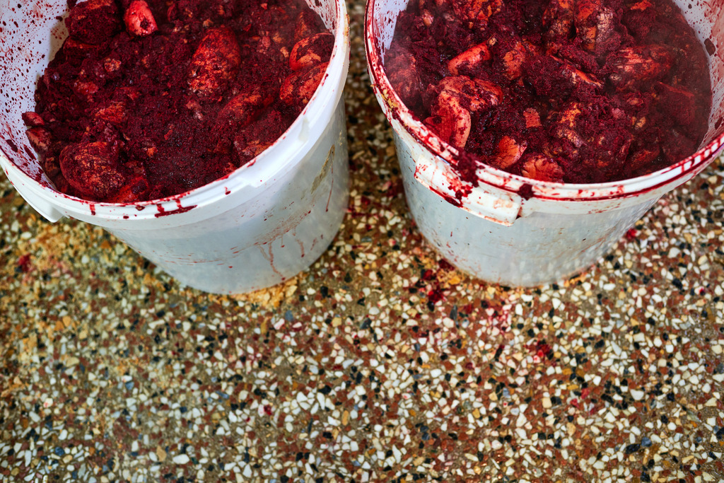 Fleischerei Dormayer | Langenzersdorf, Austria - February 12, 2019: Fleischerei Dormayer - Blutwurst Herstellung; Eimer mit Blut und alte Semmel, die vermengt werden. - Realisiert mit Pictrs.com