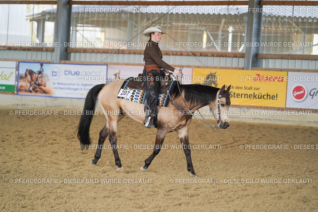 DSC00147 | Pferdegrafie