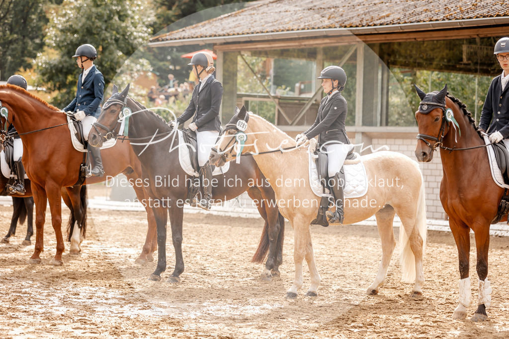 3I6A7635 | Stimmungsvolle Portraits und Reitsportfotografie im Ruhrgebiet und im Münsterland.

Pferdefotografie, Hundefotografie, Tierfotografie, Reportagen, Portraits von Tier und Mensch, Turnierfotografie in Bochum, Recklinghausen, Marl, Haltern am See, Dülmen.. - Realisiert mit Pictrs.com