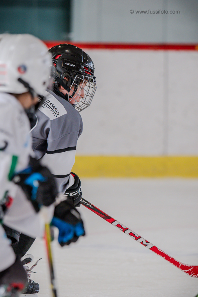 DSC_1272 | "Fussifoto.com – Ihr Ansprechpartner für hochwertige Fotografie! Entdecken Sie kreative Bilder und professionelle Dienstleistungen. Kontaktieren Sie uns für Ihre Projekte!"