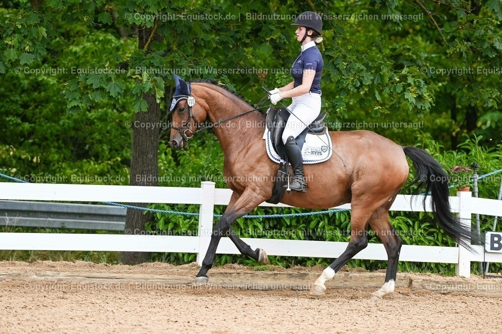 20230715_05_Dressurprüfung Kl.A++_0104 | equistock
