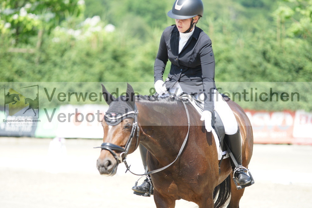 DSC01585 | equestrian-live-com
