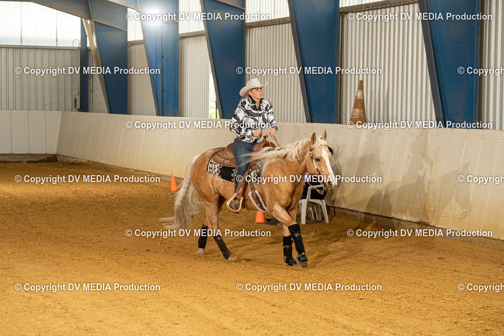 MIT00214 | dv-media-shop - Realisiert mit Pictrs.com