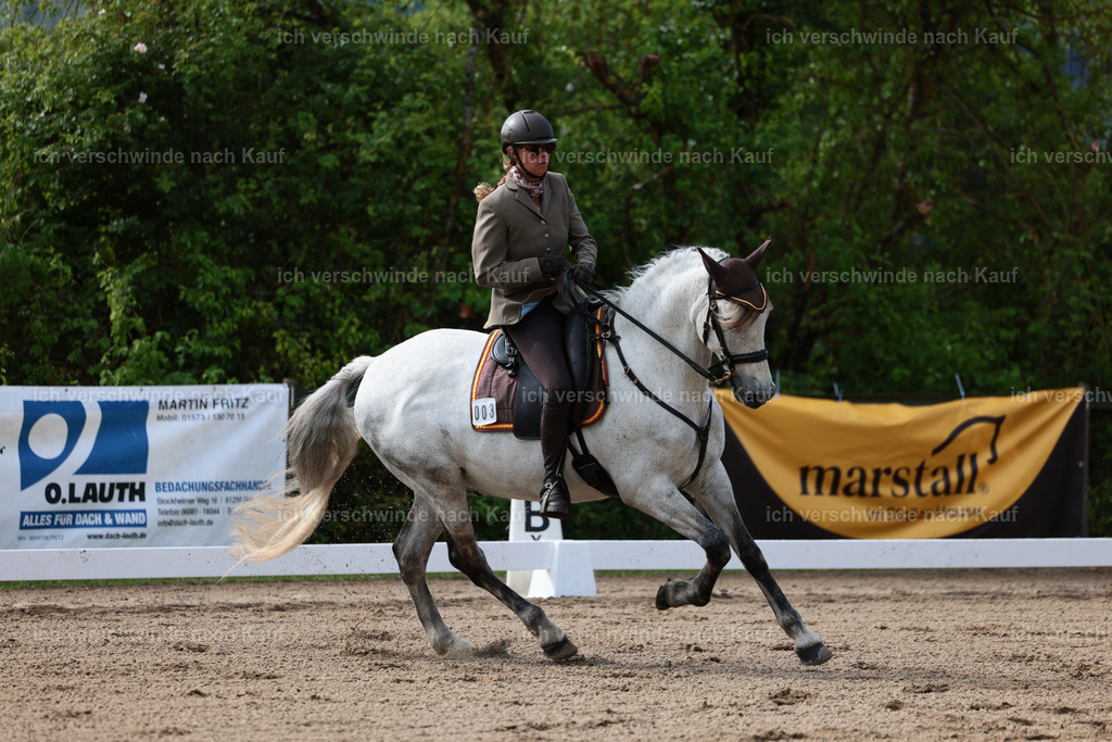 Masterclass_stoibphotography_C2_L4666.JPG | working equitationturnier fotograf videograf stoibphotography marixx film working equitation deutschland reitsport turnierfotografie eventfotografie equestrian events