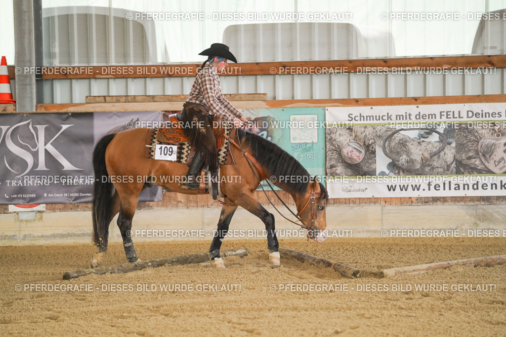 DSC07002 | Pferdegrafie