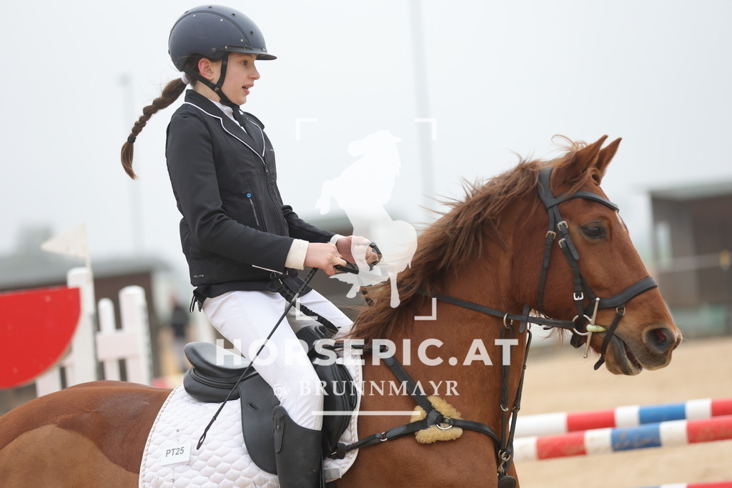 0P6A8321 | Willkommen bei Brunnmayr - Design & Fotografie – Ihrem Spezialisten für Reitturniere und Pferdeveranstaltungen in Oberösterreich, Salzburg und Bayern! Seit über 17 Jahren sind wir leidenschaftlich dabei.