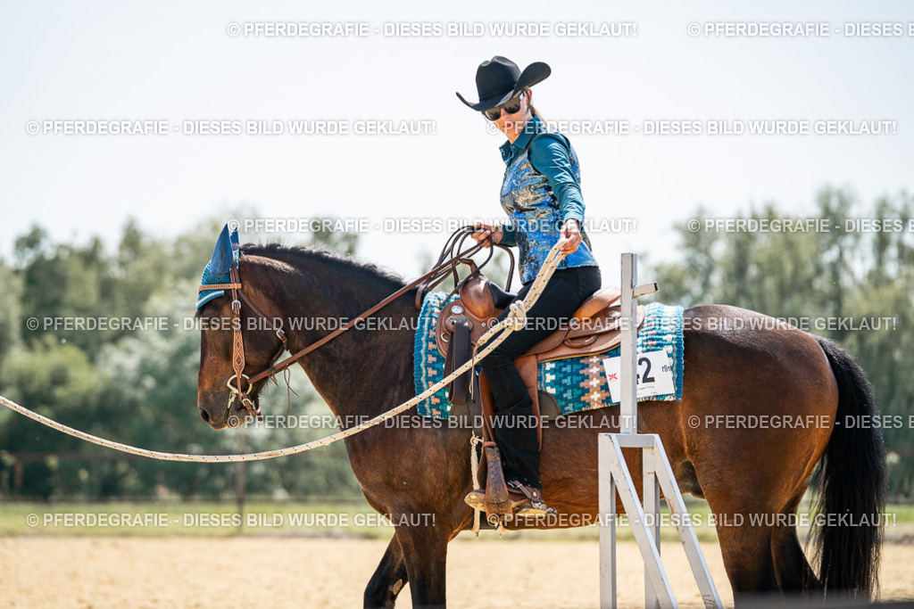 DSC00745 | Pferdegrafie