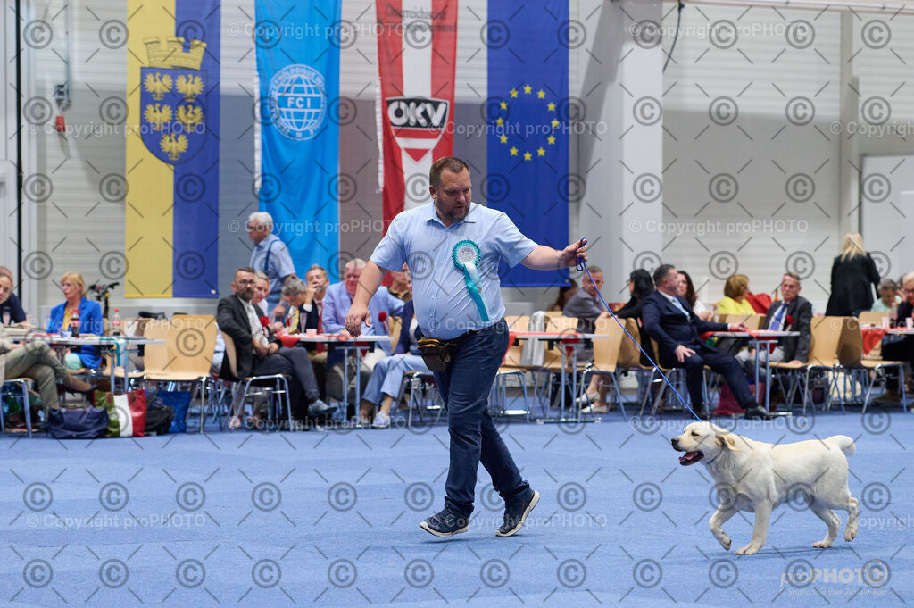 202406_ÖKV-IHA-Tulln24_DSC_3166 | proPHOTO - Realisiert mit Pictrs.com