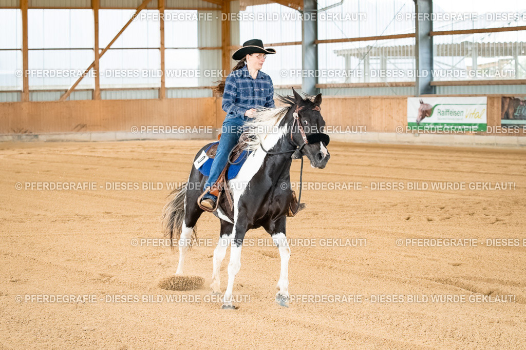 DSC02698 | Pferdegrafie