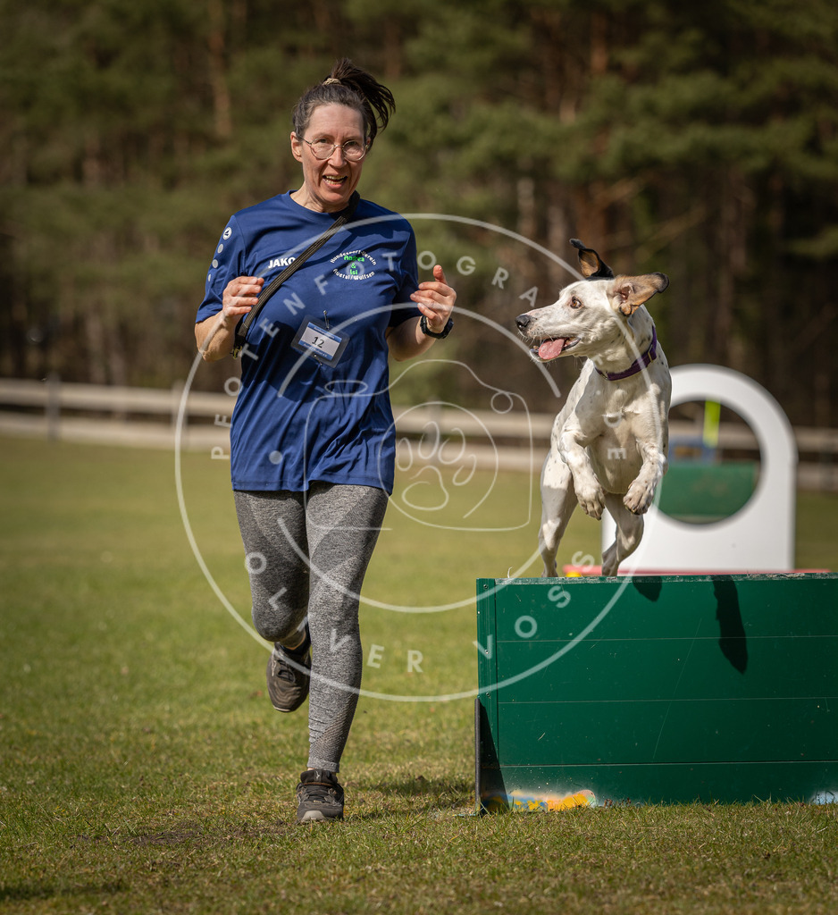 Pfotenfotografie_DV3A0680 | Hundefotografie, Tierfotograf, Pfotenfotografie, Fotoshooting Hund, Hunde Portrait, Hundesport, Hundeportraits, Heideshooting, Hunde, Sportfotograf, Hundefotograf, Turnierhundsport, THS,  - Realisiert mit Pictrs.com