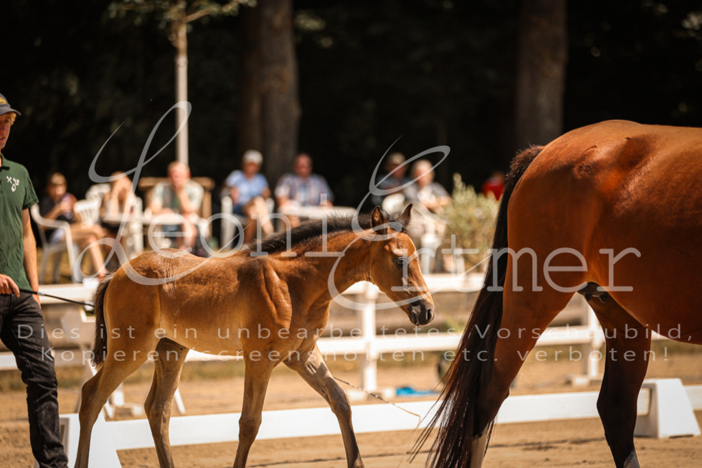 03.DoAB00002 | Leoni Ertmer Photography - Realisiert mit Pictrs.com