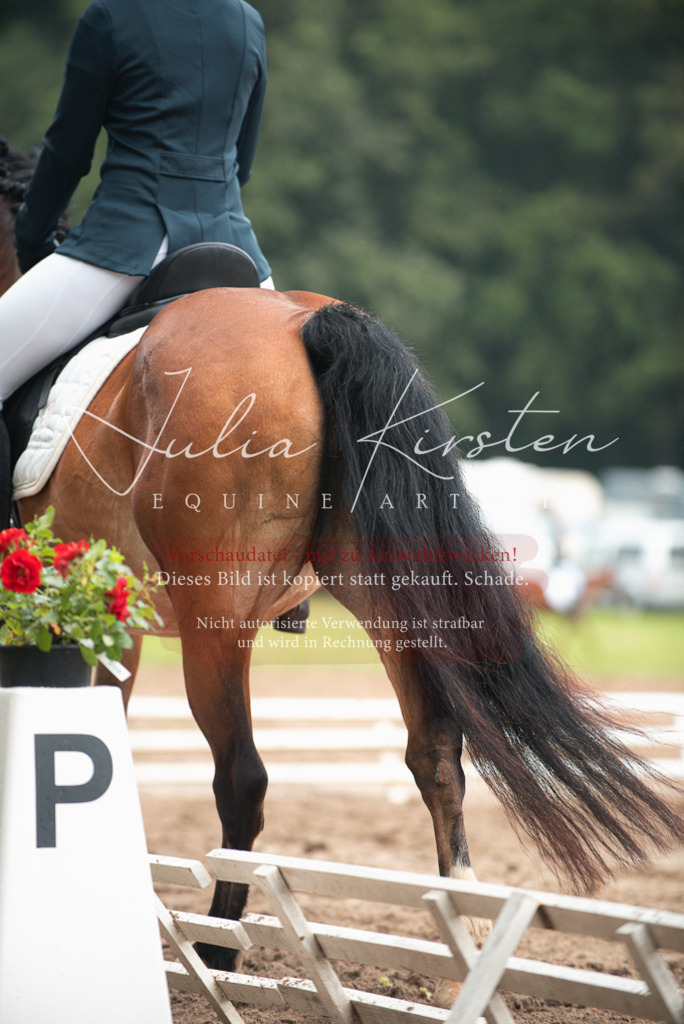 DSC_9843 | Pferde- und Turnierfotografie in Westsachsen. Pferdeportraits, Auftragszeichnungen und intuitive Kunst.
