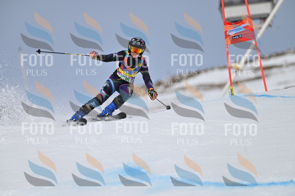 BGV_4679 | holidayphoto