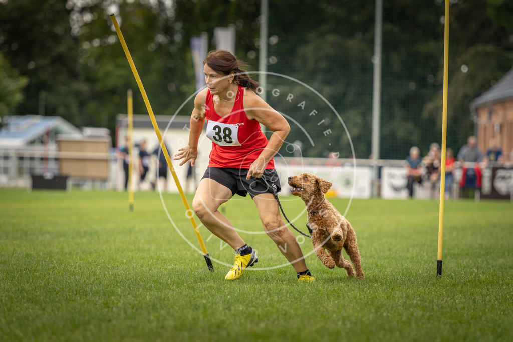 Pfotenfotografie_DV3A2785 | Hundefotografie, Tierfotograf, Pfotenfotografie, Fotoshooting Hund, Hunde Portrait, Hundesport, Hundeportraits, Heideshooting, Hunde, Sportfotograf, Hundefotograf, Turnierhundsport, THS,  - Realisiert mit Pictrs.com