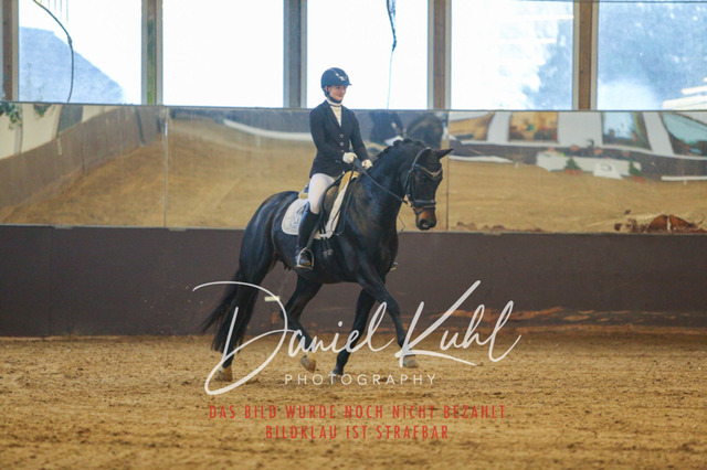 IMG_7421 | Turniersportfotografie; Pferdefotografie; Dressurfotografie