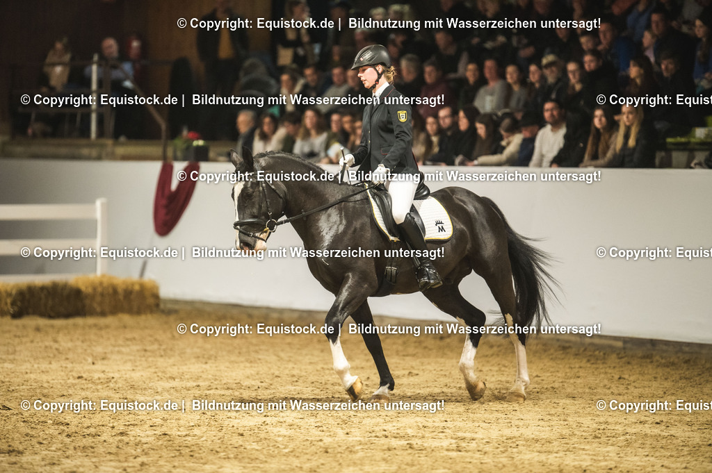 20240302_Hengstvorstellung_Marbach_TOMsPiC_0716-2 | equistock