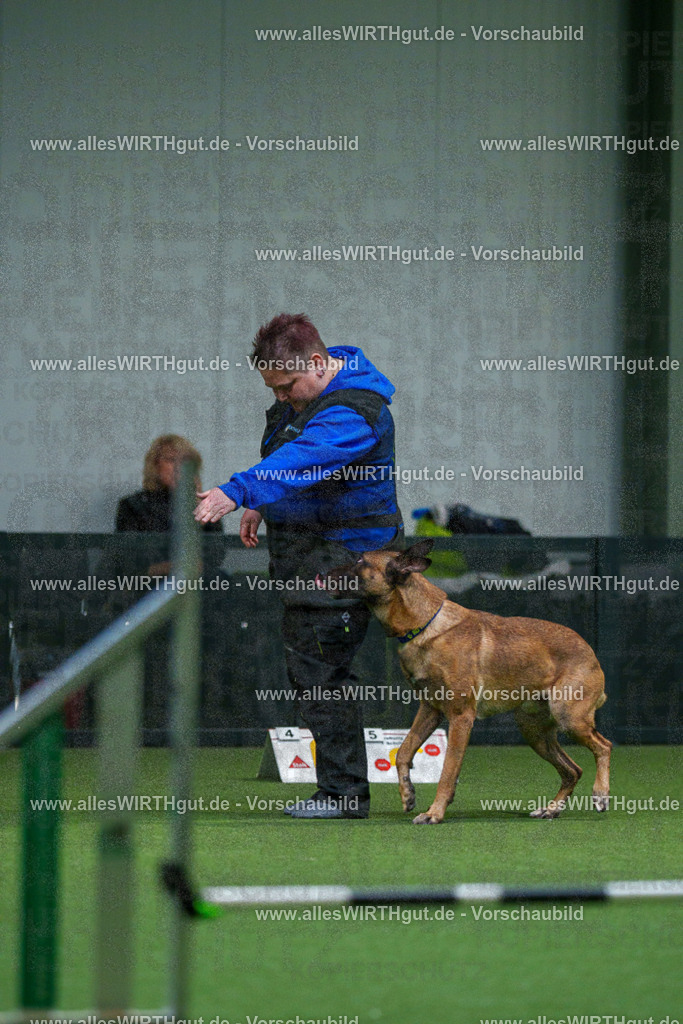 7R503720 | Professionelle Tierfotografie in Mönchengladbach von Daniel Wirth (allesWIRTHgut). Liebevolle & natürliche Bilder von Hunden & Katzen für unvergessliche Erinnerungen.