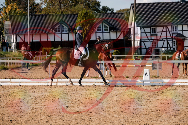 2026_10_03_Siefer-Hof_125529_Z63_61818381 | Professionelle Reitsport-, Turnier- und Eventfotografie von Robert Broda. Galerien mit ausgewählten und bearbeiteten Bildern direkt online ansehen und bestellen.