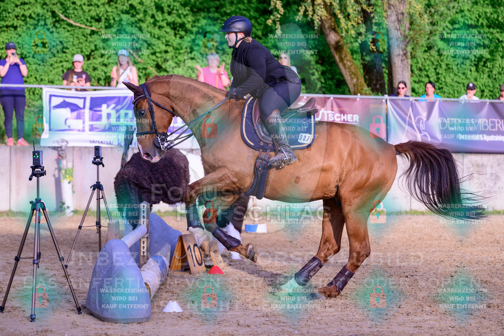 02052026-Giesenbach-03-Speedtrail-1074 | Fokus Hufschlag Fotografie - Realisiert mit Pictrs.com