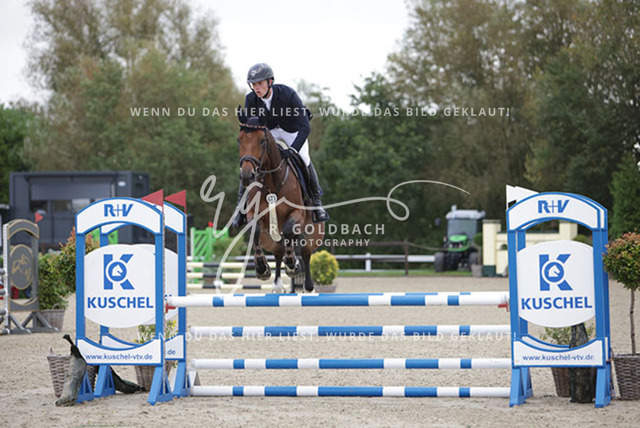 1J2A8895Mathies Rüder_ Genta van der Beeke_ Kn471_ Havekost | Foto- und Videografie für alles rund ums Pferd. Hochwertige Bilder und Videos vom Spring- und Dressurreiten, Voltigieren & mehr. Jetzt aktuelle Veranstaltungen und Preise im Shop ansehen. - Realisiert mit Pictrs.com