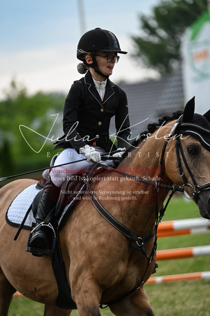DSC_8582 | Pferde- und Turnierfotografie in Westsachsen. Pferdeportraits, Auftragszeichnungen und intuitive Kunst.