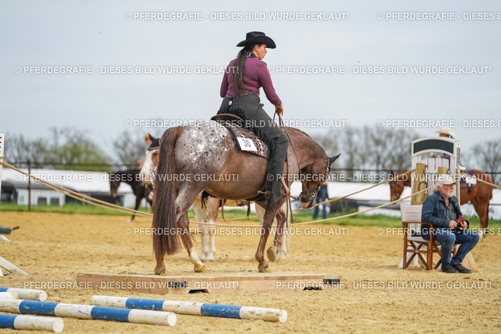 DSC03481 | Pferdegrafie