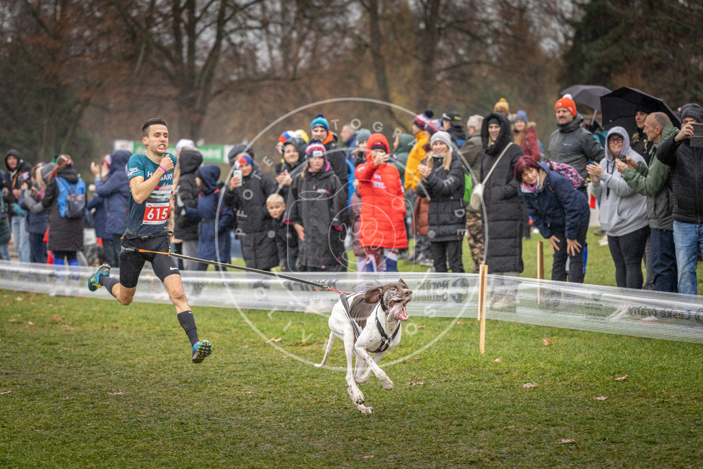 CaniXpix_DV3A9596 | Hundefotografie, Tierfotograf, Pfotenfotografie, Fotoshooting Hund, Hunde Portrait, Hundesport, Hundeportraits, Heideshooting, Hunde, Sportfotograf, Hundefotograf, Turnierhundsport, THS,  - Realisiert mit Pictrs.com