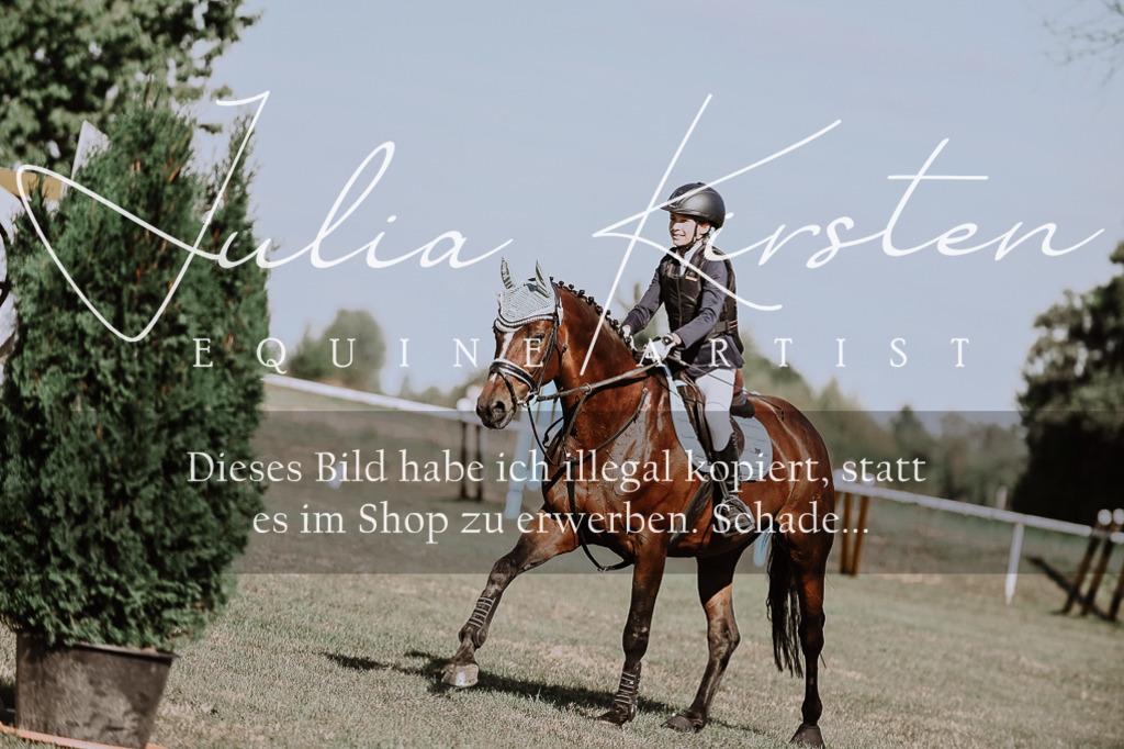 DSC_9417 | Pferde- und Turnierfotografie in Westsachsen. Pferdeportraits, Auftragszeichnungen und intuitive Kunst.