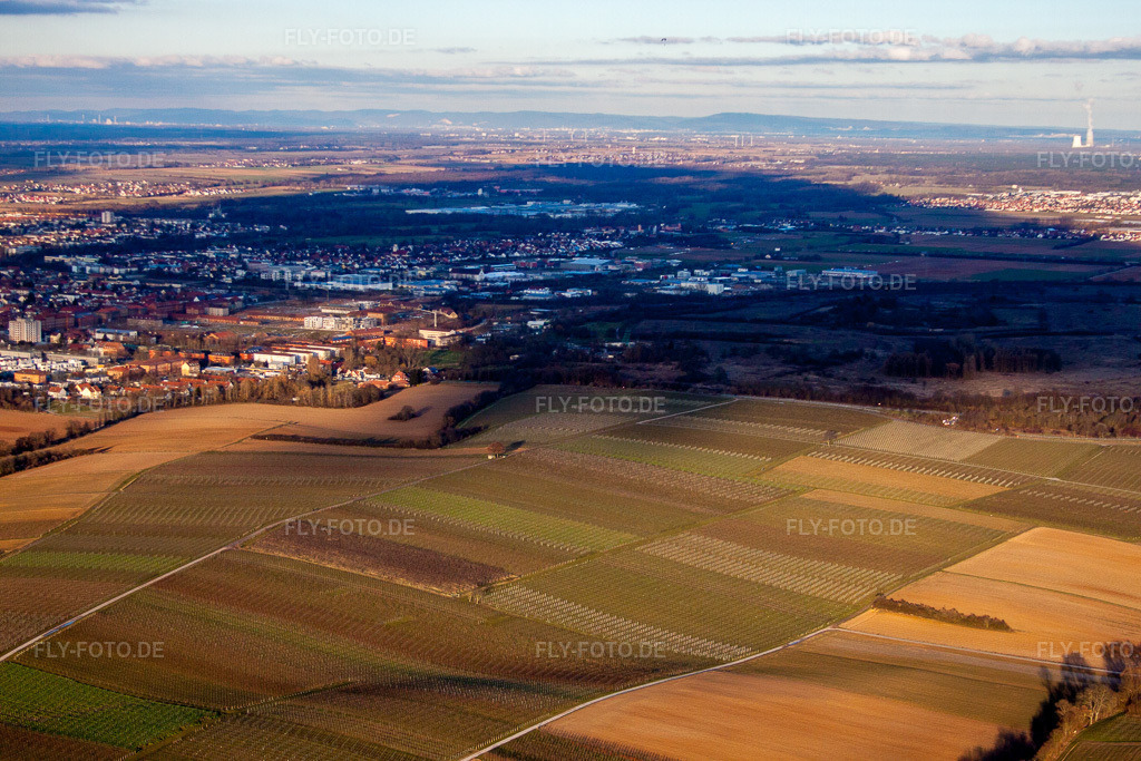 Luftbild: Landau von Westen in Landau in der Pfalz im Bundesland Rheinland-Pfalz in Deutschland. Foto: IMG_62212.jpg vom 23.02.2014 durch Werner Riehm/FLY-FOTO.de