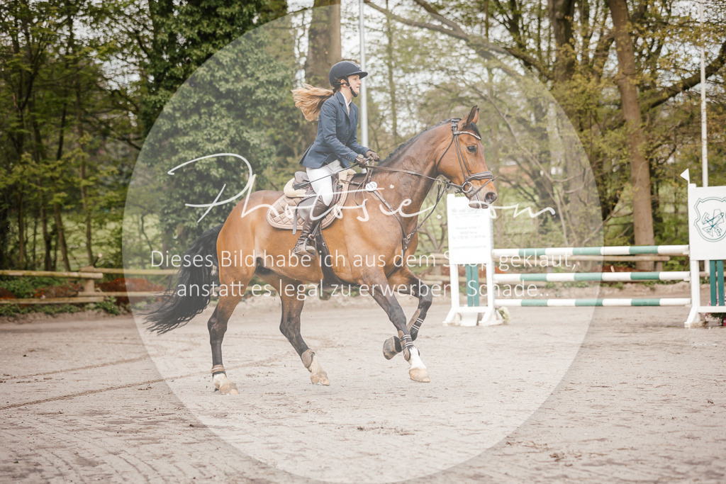 3I6A3157 | Stimmungsvolle Portraits und Reitsportfotografie im Ruhrgebiet und im Münsterland.

Pferdefotografie, Hundefotografie, Tierfotografie, Reportagen, Portraits von Tier und Mensch, Turnierfotografie in Bochum, Recklinghausen, Marl, Haltern am See, Dülmen.. - Realisiert mit Pictrs.com