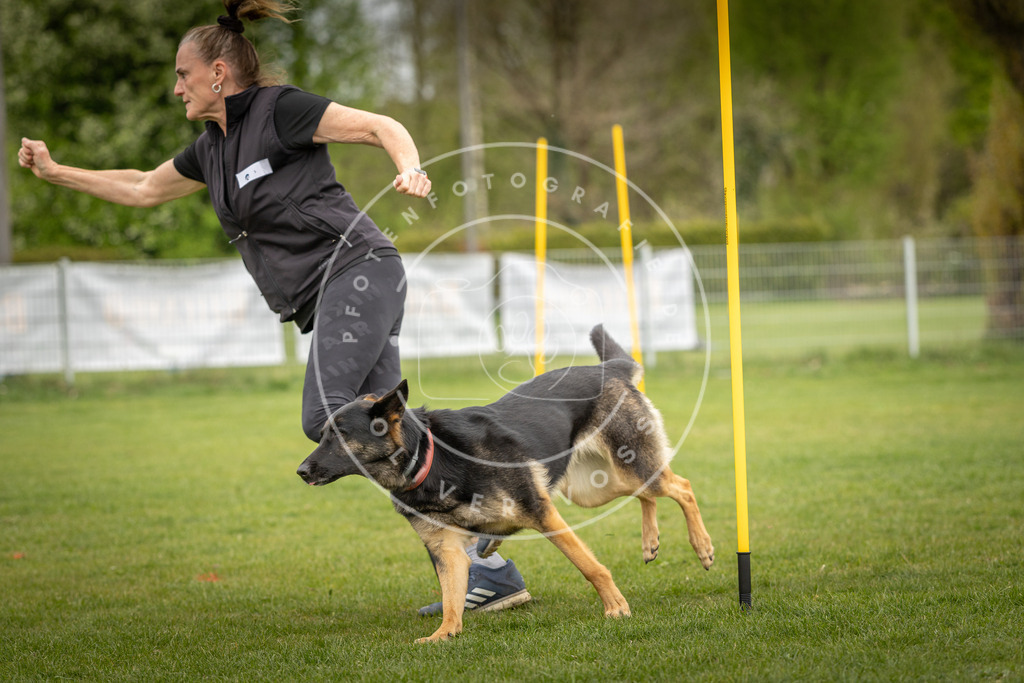 Pfotenfotografie_DV3A7508 | Hundefotografie, Tierfotograf, Pfotenfotografie, Fotoshooting Hund, Hunde Portrait, Hundesport, Hundeportraits, Heideshooting, Hunde, Sportfotograf, Hundefotograf, Turnierhundsport, THS,  - Realisiert mit Pictrs.com