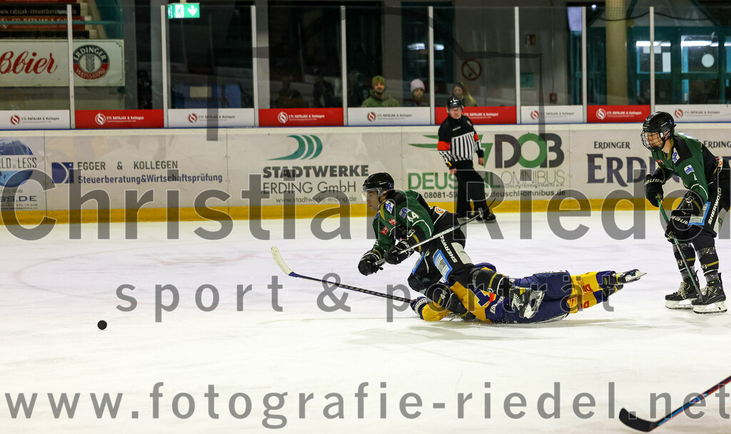 2022-10-30_053_TSV_Erding_gegen_ESC_Riverrats_Geretsried | Erding, Deutschland, 30.10.2022:
Eishockey, Bayernliga 2022 / 2023, 9. Spieltag, TSV Erding gegen ESC Riverrats Geretsried, Endergebnis: 3:5

Paul Wallek (Erding Gladiators, #44)

Foto: Christian Riedel / fotografie-riedel.net