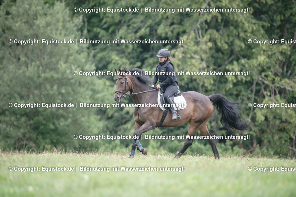 20250726_Vielseitigkeitslehrgang-Marbach_0333 | Foto: Thomas Hartig