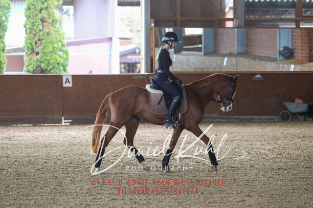DKP42574 | Turniersportfotografie; Pferdefotografie; Dressurfotografie
