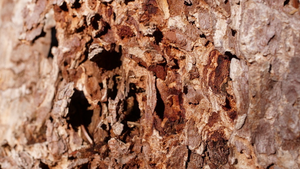 P1055165 | klausulrichmoeller